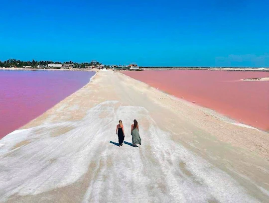 Full-day Rio Lagartos and Las Coloradas guided boat tour