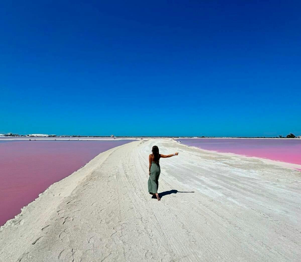 Full-day Rio Lagartos and Las Coloradas guided boat tour