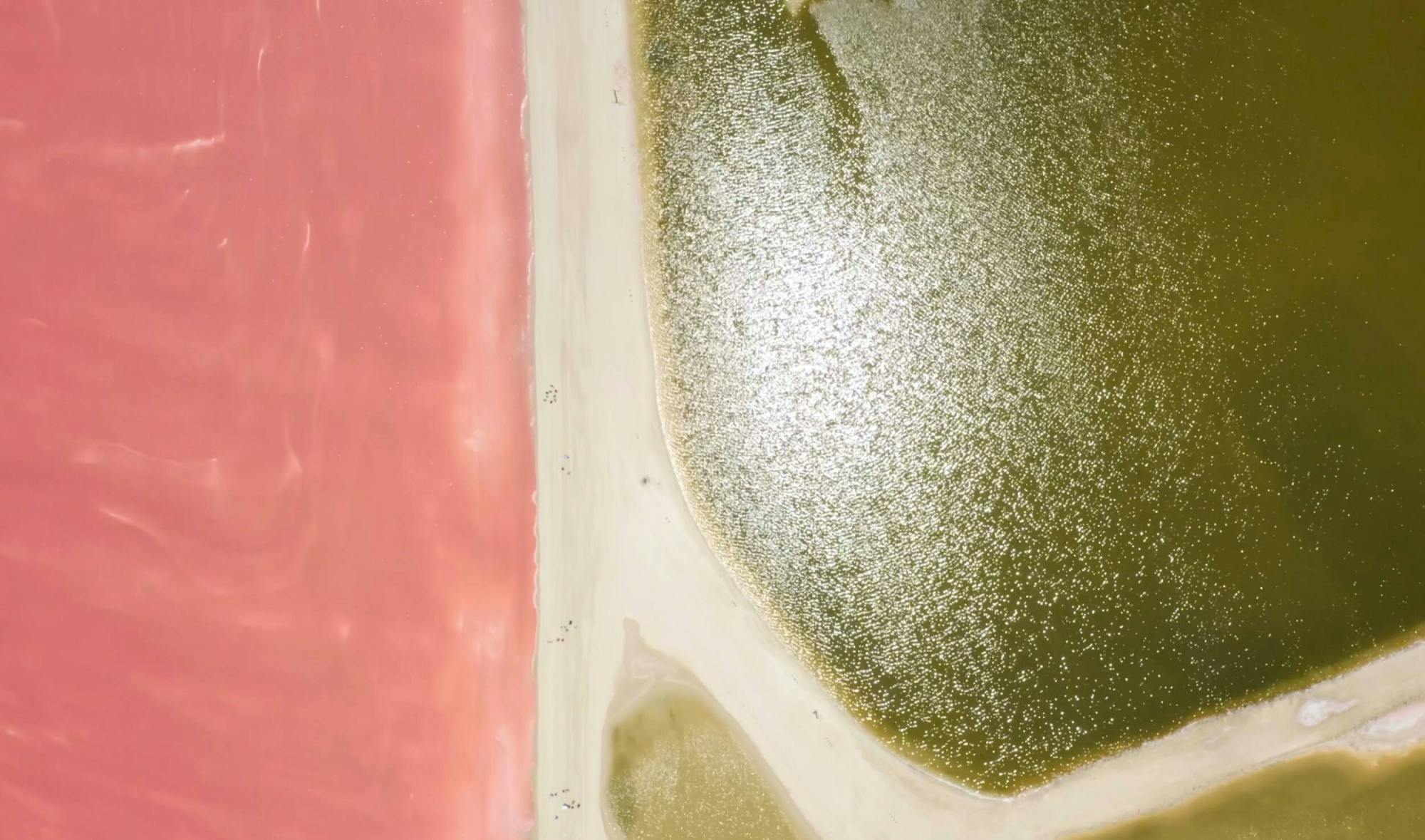 Full-day Rio Lagartos and Las Coloradas guided boat tour