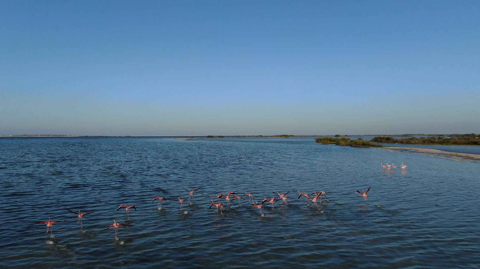 Full-day Rio Lagartos and Las Coloradas guided boat tour