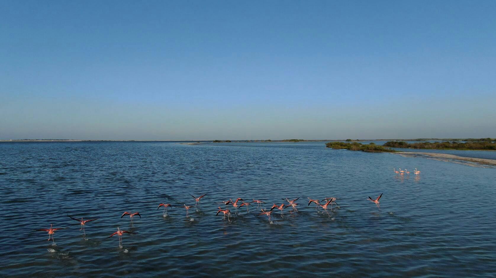 Full-day Rio Lagartos and Las Coloradas guided boat tour