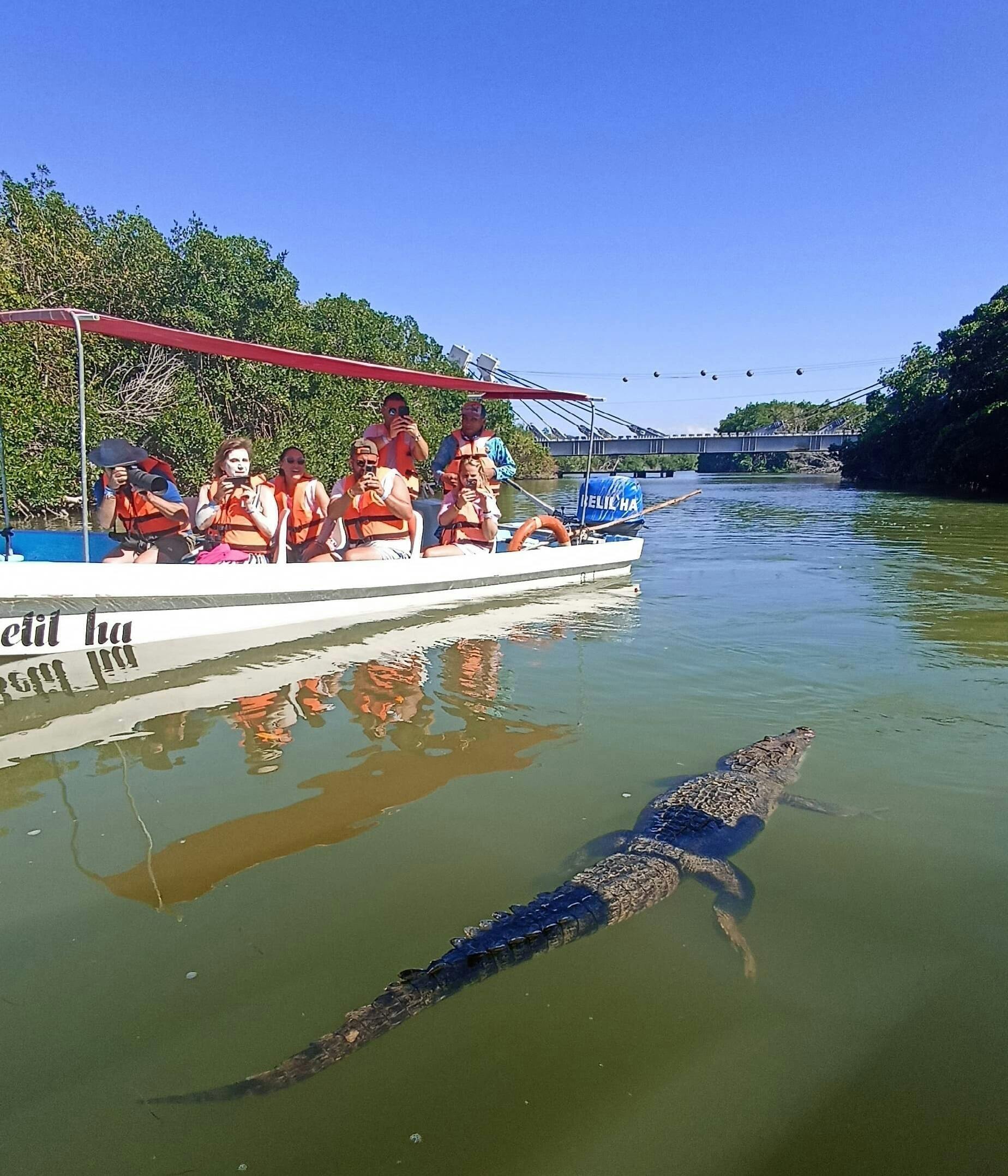 Full-day Rio Lagartos and Las Coloradas guided boat tour