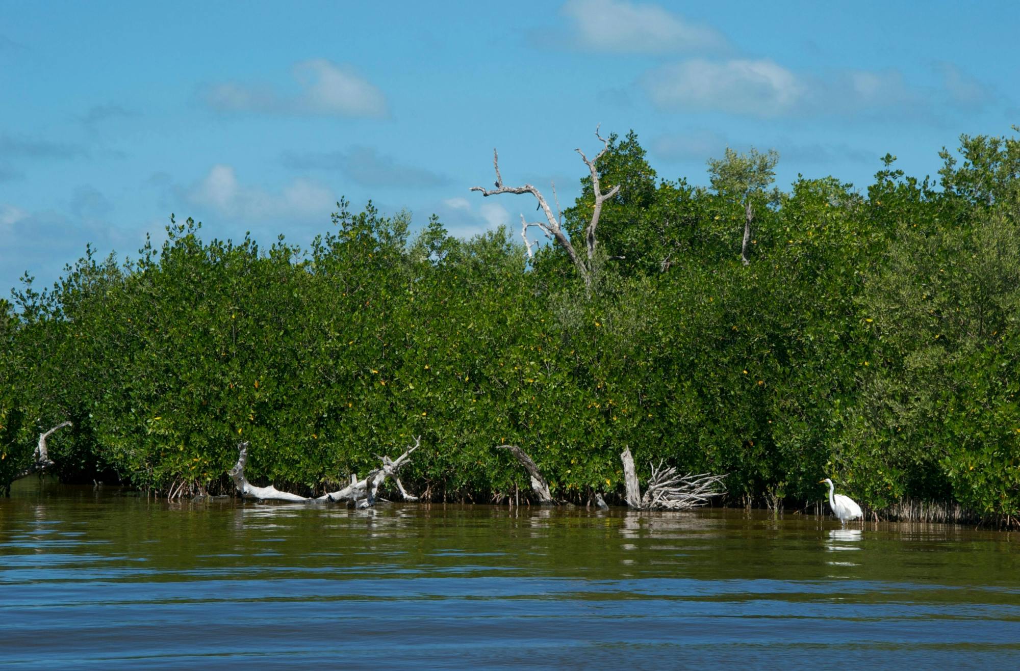 Full-day Rio Lagartos and Las Coloradas guided boat tour