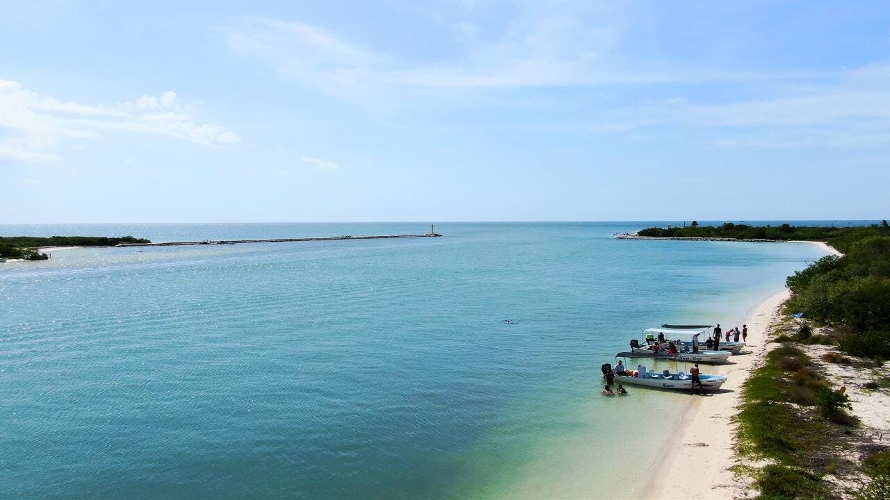 Full-day Rio Lagartos and Las Coloradas guided boat tour