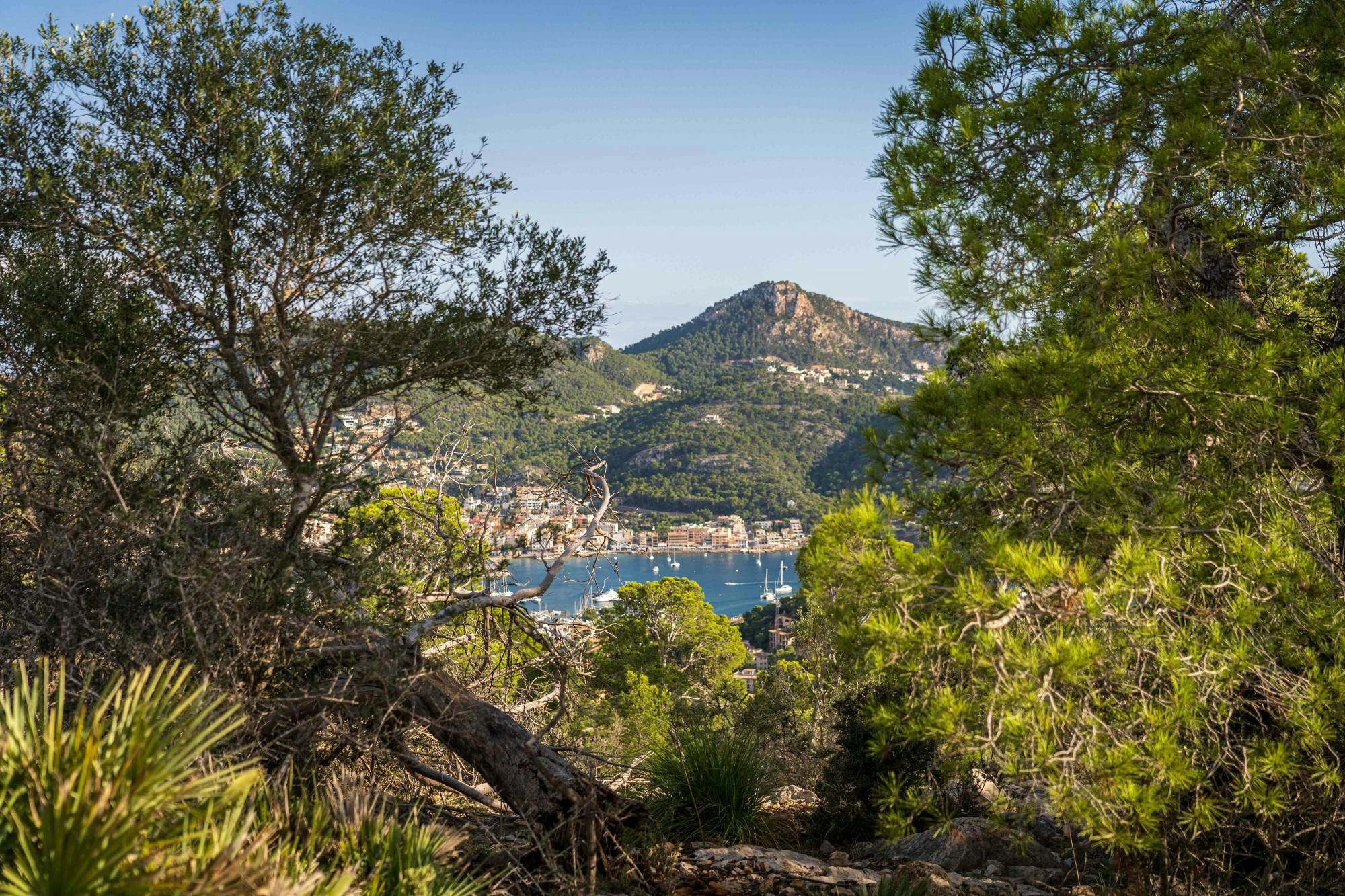 Sunset hiking from Port Andratx to Sant Elm