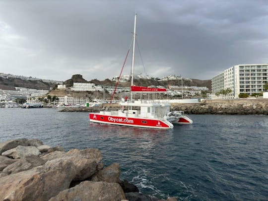 Crociera di piacere in catamarano Gran Canaria OBY