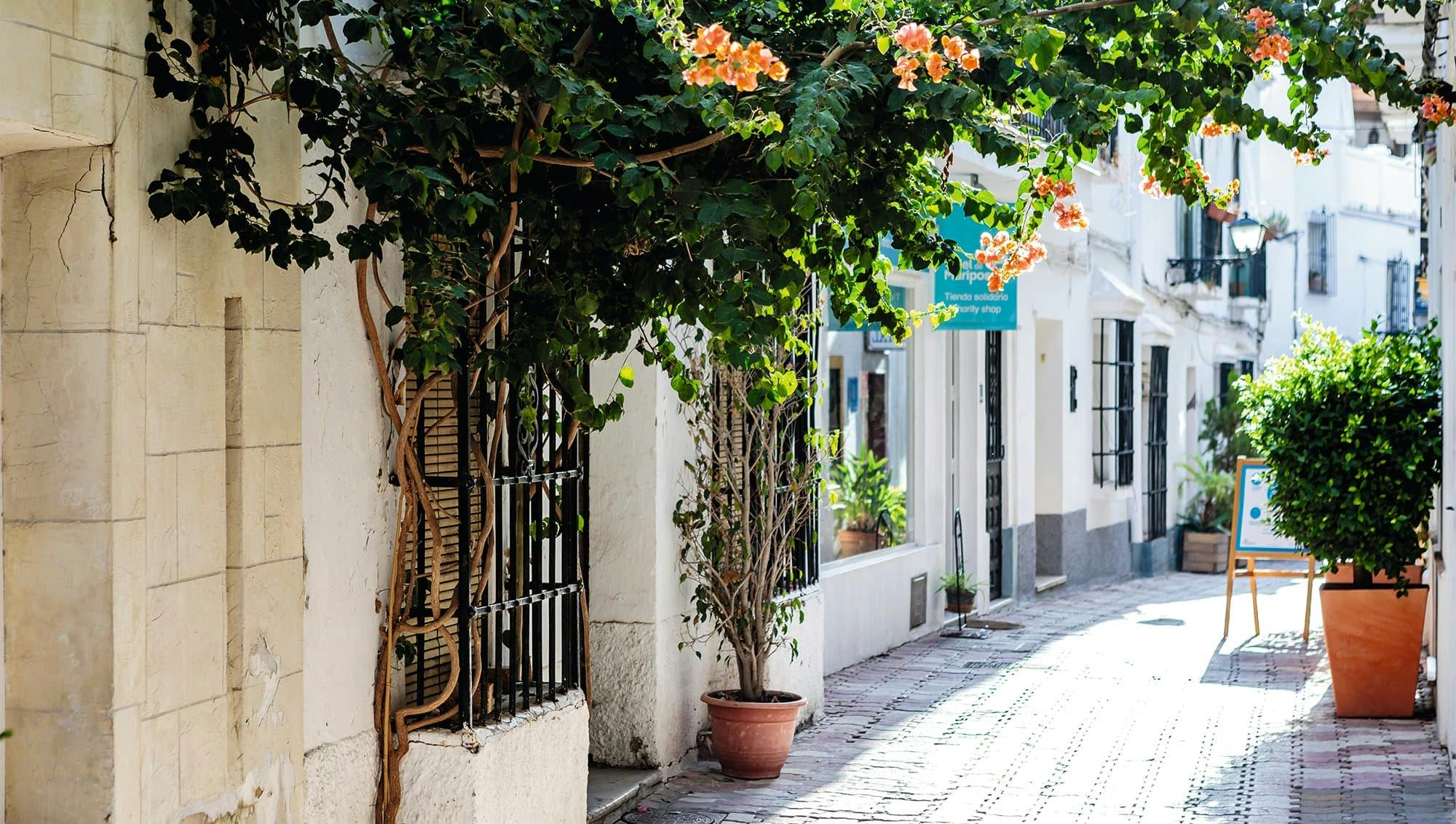 Marbella and Golden Mile half-day tour with Puerto Banus visit