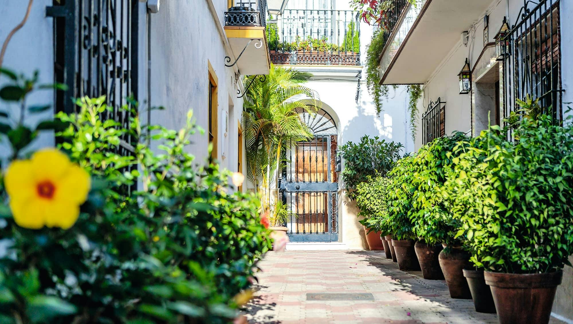 Marbella and Golden Mile half-day tour with Puerto Banus visit