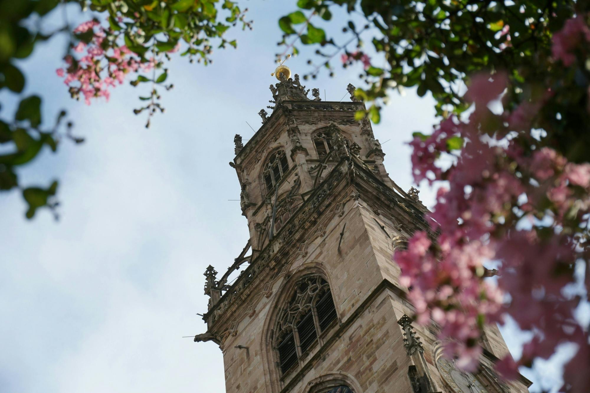 Bolzano and Renon tour with panoramic train ride