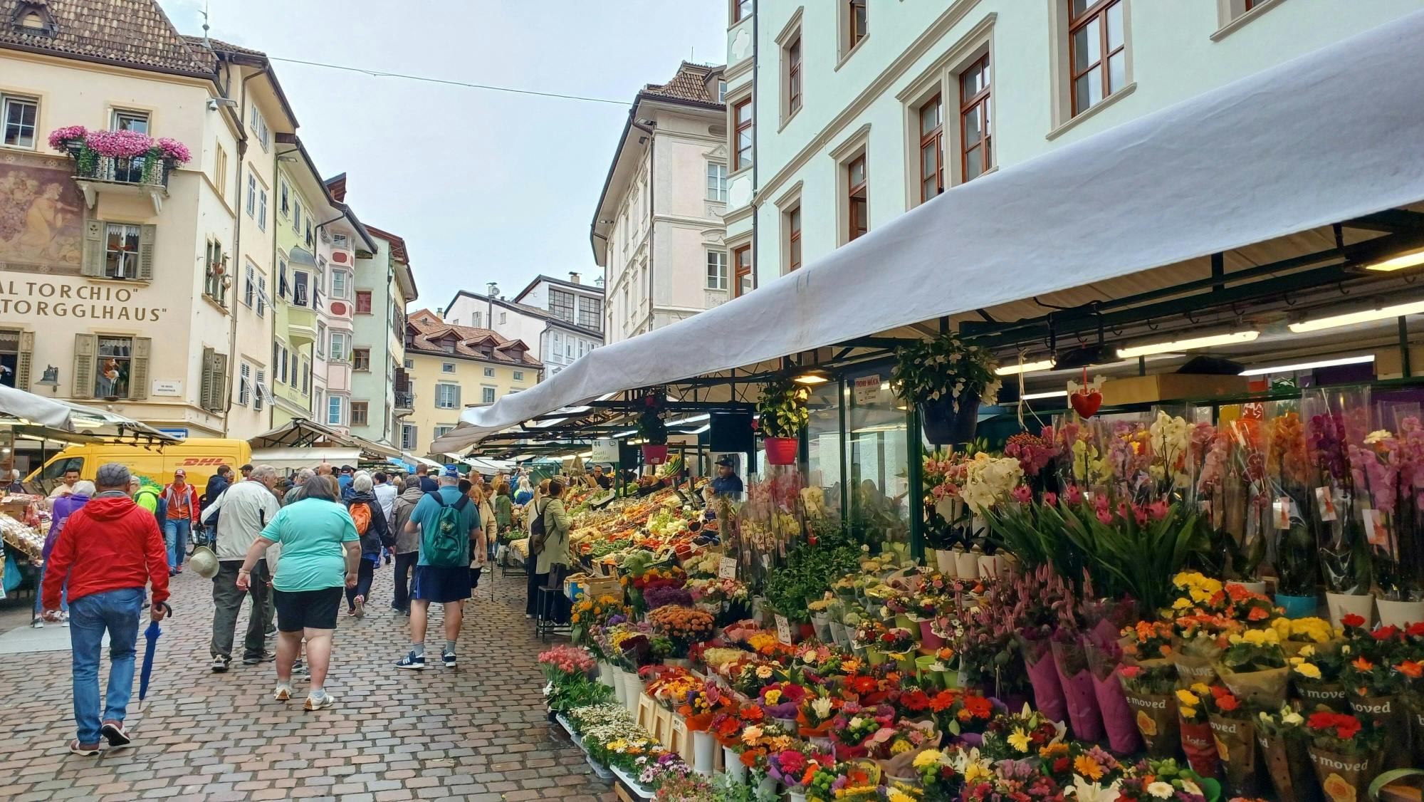 Bolzano and Renon tour with panoramic train ride