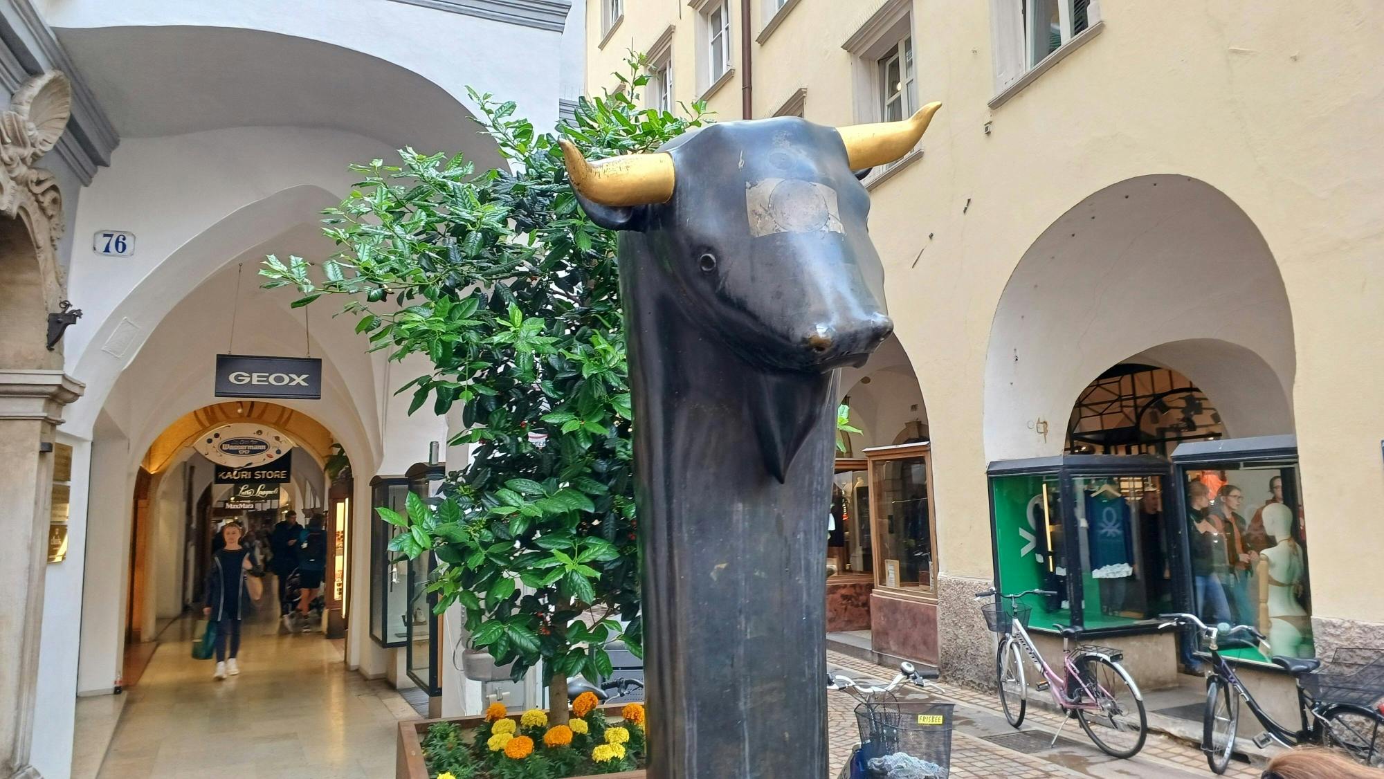 Bolzano and Renon tour with panoramic train ride