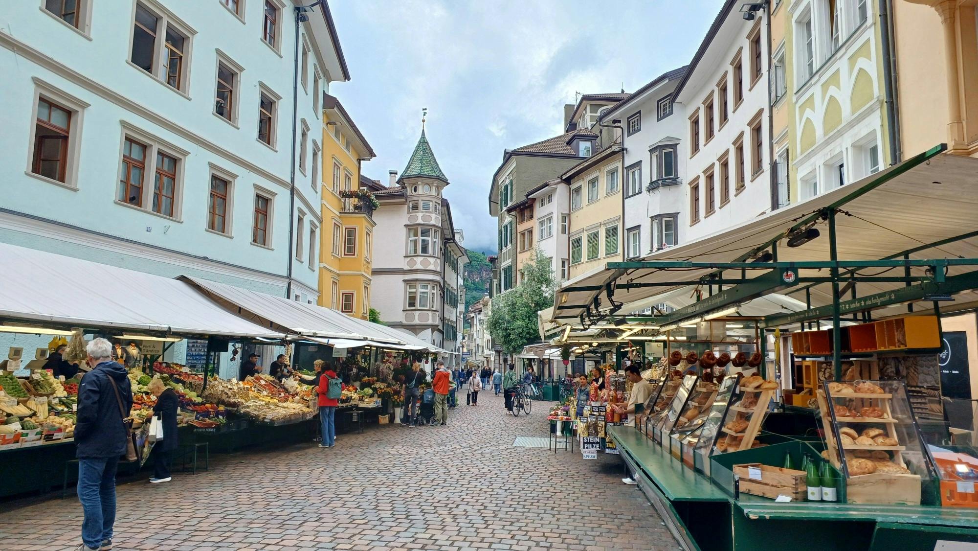 Bolzano and Renon tour with panoramic train ride