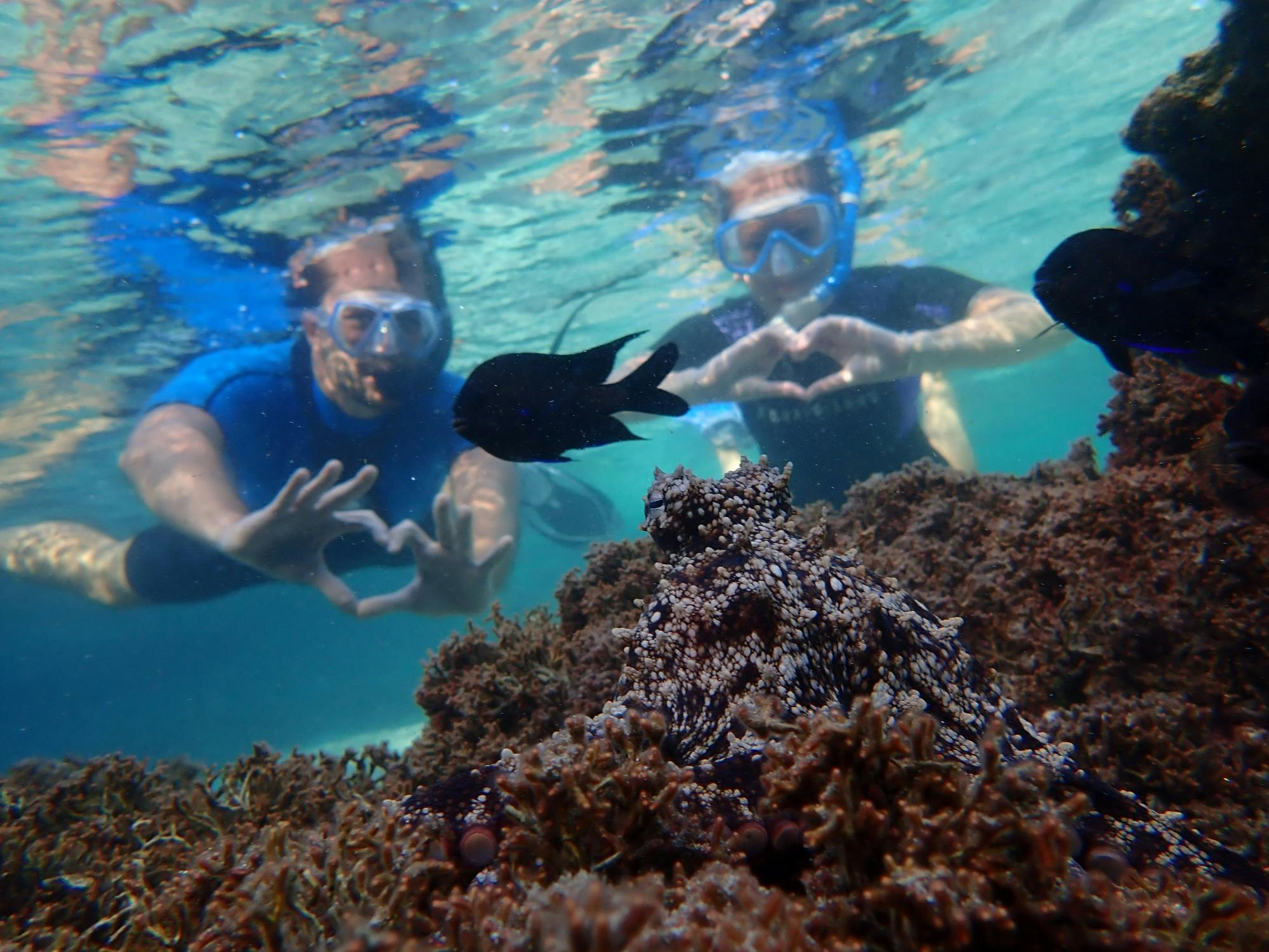 Snorkelling tour in Portugal