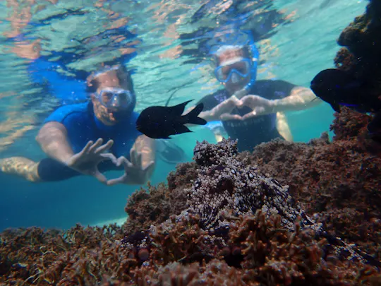 Snorkeltour in Portugal