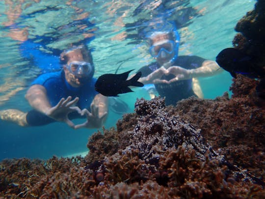 Wycieczka z nurkowaniem w Portugalii