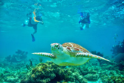 Inaf Reef Luxury Catamaran Cruise