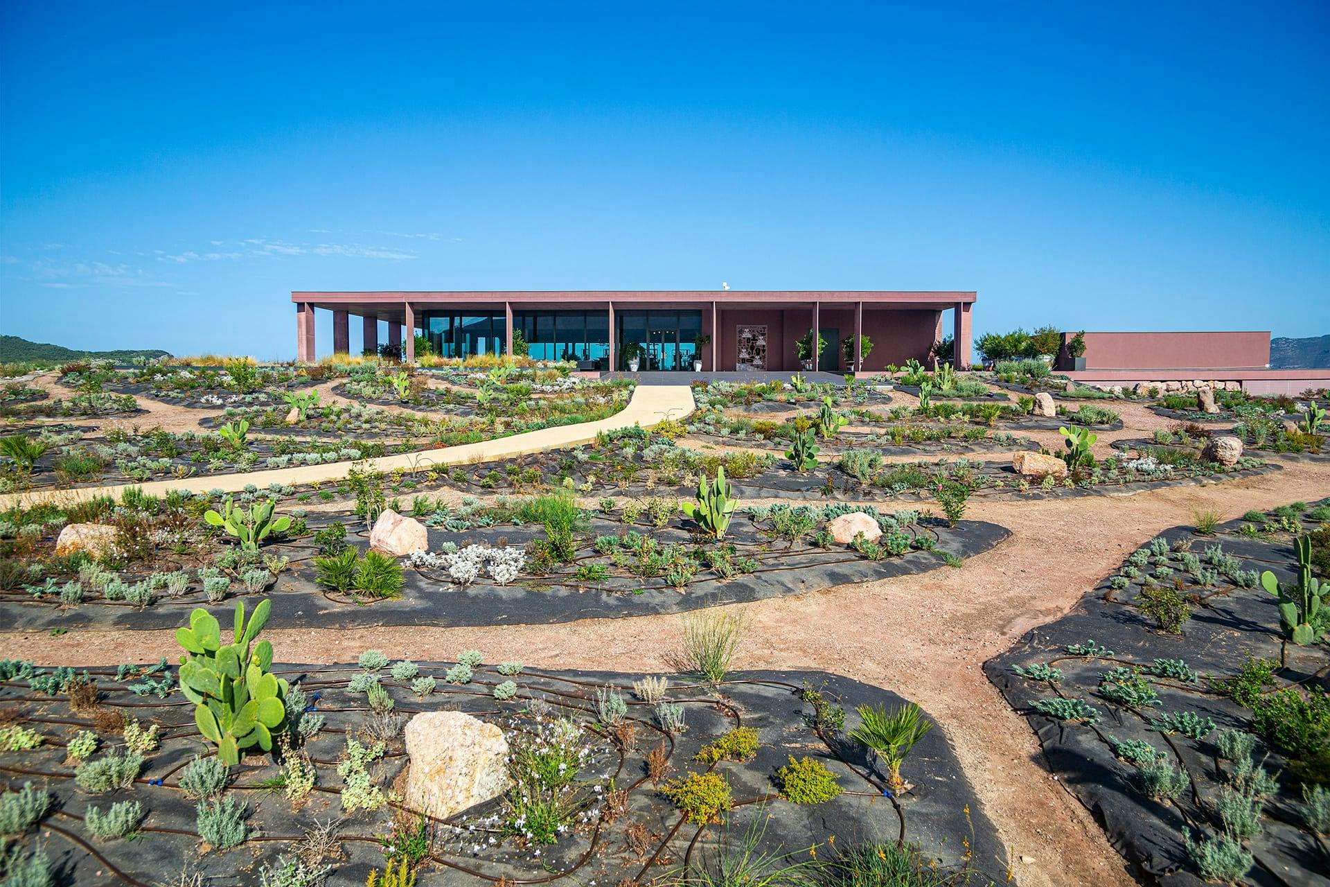 Guided vineyard tour with wine-tasting