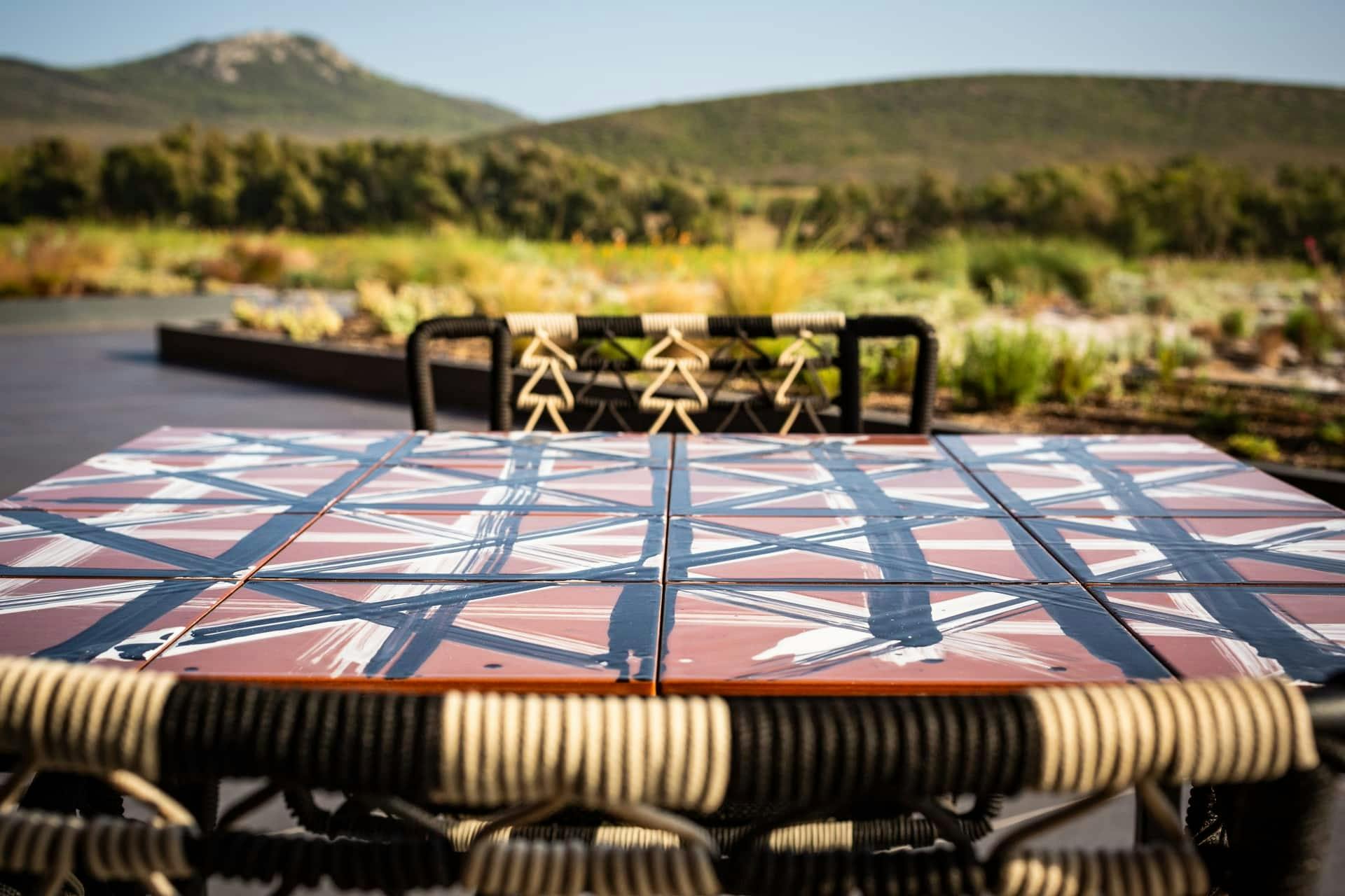 Guided vineyard tour with wine-tasting