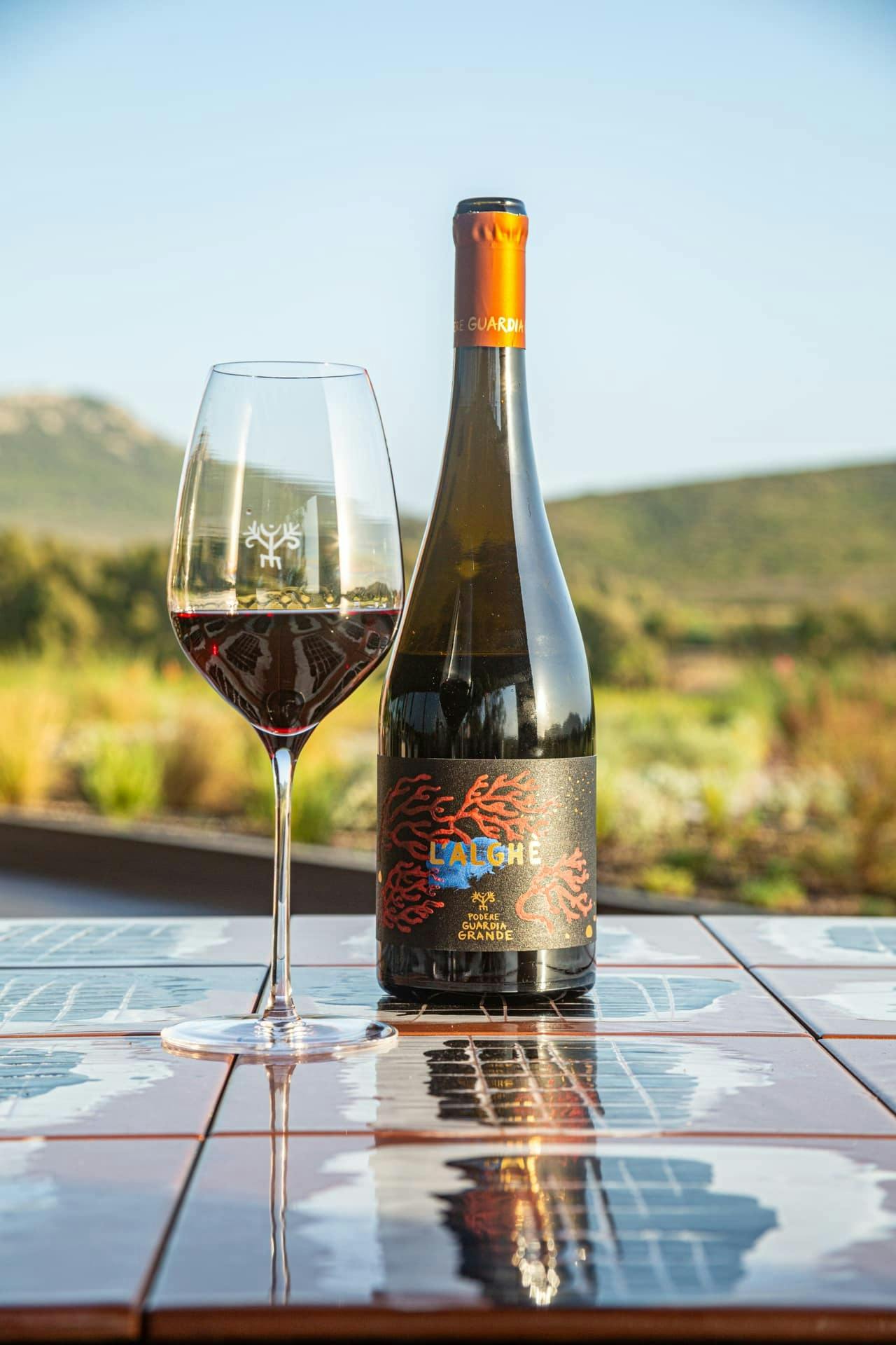 Guided vineyard tour with wine-tasting
