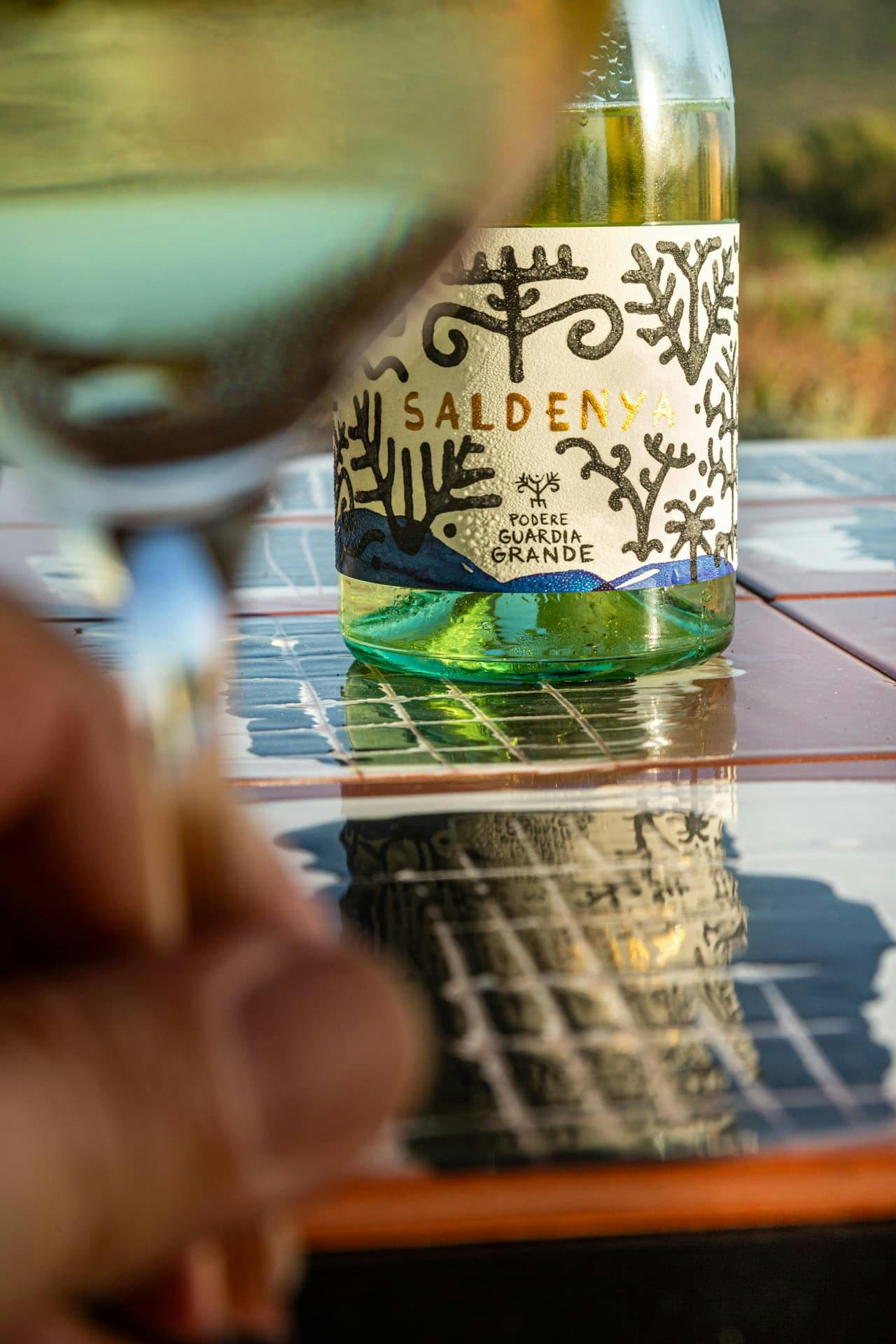 Guided vineyard tour with wine-tasting