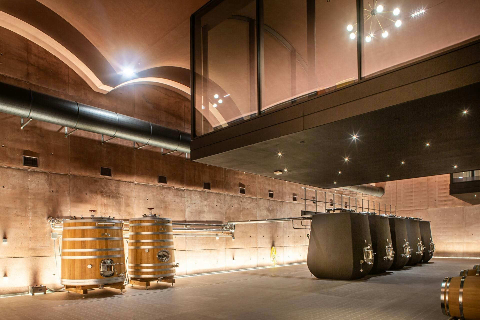 Guided vineyard tour with wine-tasting