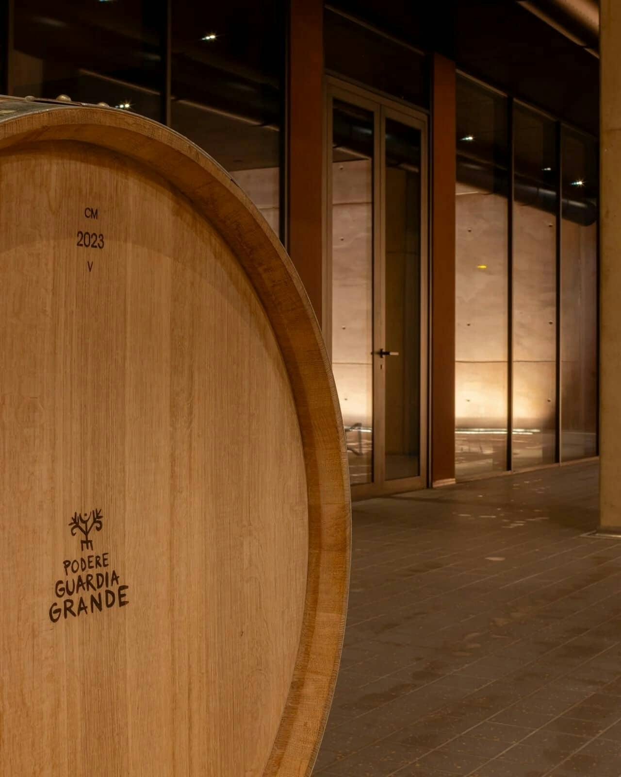 Guided vineyard tour with wine-tasting