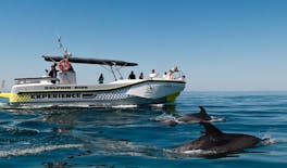 Dolphin watching and guided boat tour