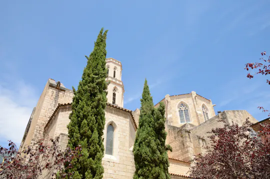 Dalí's Figueres and Girona bus tour from Barcelona