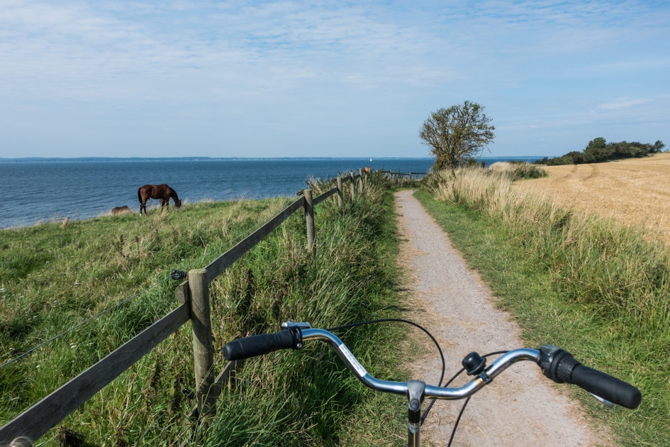 Hiking & bike tours in Malmö