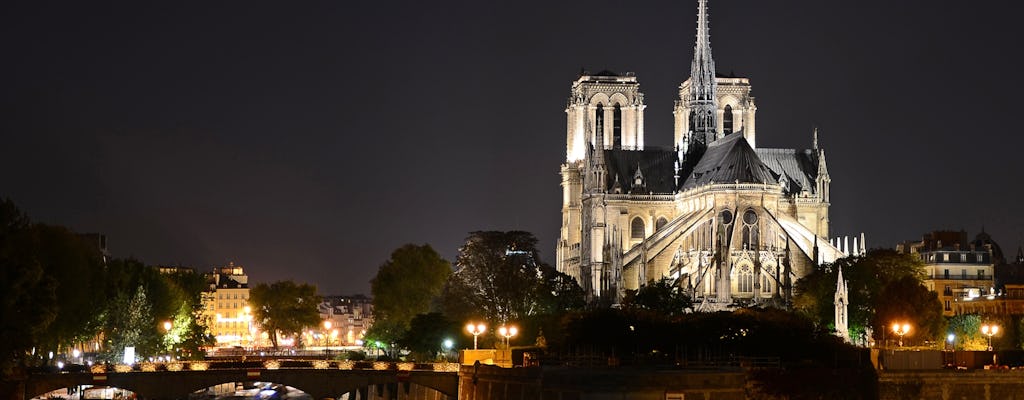 Private illumination tour of Paris top sights