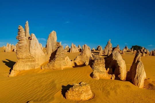 Pinnacles and Swan Valley Full-day Guided Tour