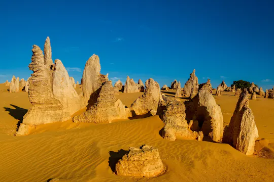Pinnacles and Swan Valley Full-day Guided Tour