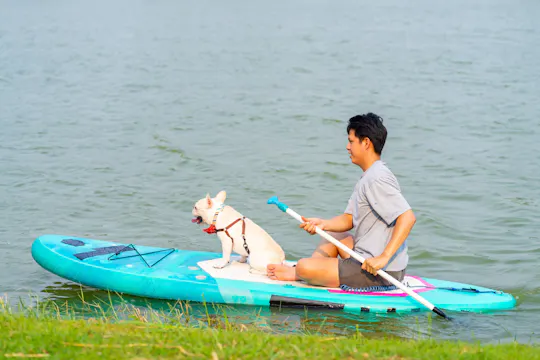 Paddle surf de 90 minutes avec expérience canine à Séville