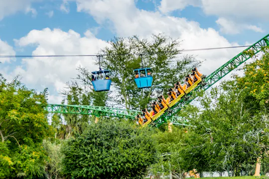 Biglietti d'ingresso per un giorno ai Busch Gardens® Tampa Bay