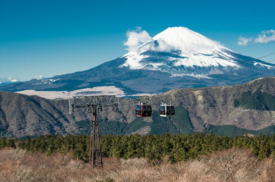 Hakone Guided Tour from Tokyo with Lake Cruise and Ropeway Ride