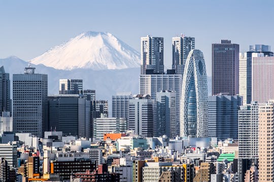 Prywatny transfer z lub na lotnisko Narita w Tokio