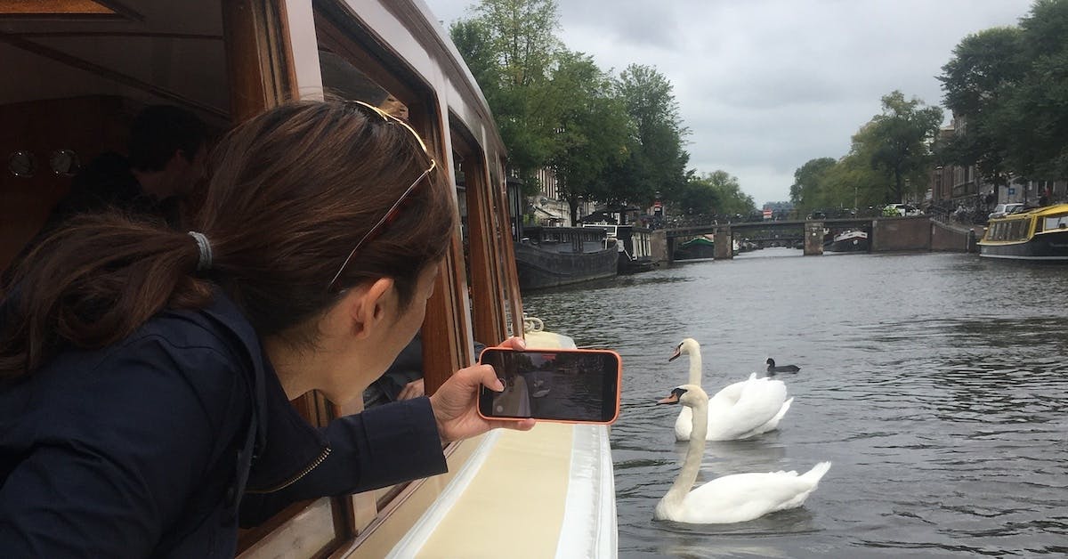 Crociera mattutina sui canali di Amsterdam