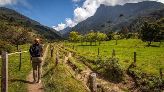 Hiking in Cocora Valley with 4x4 off-road experience