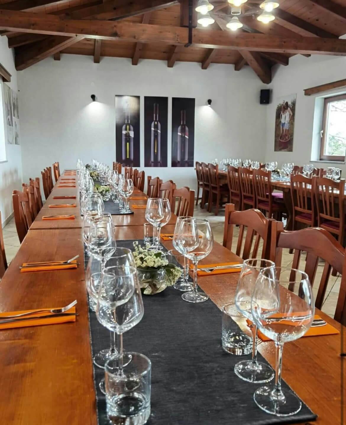 Wine party at Winery Baćac