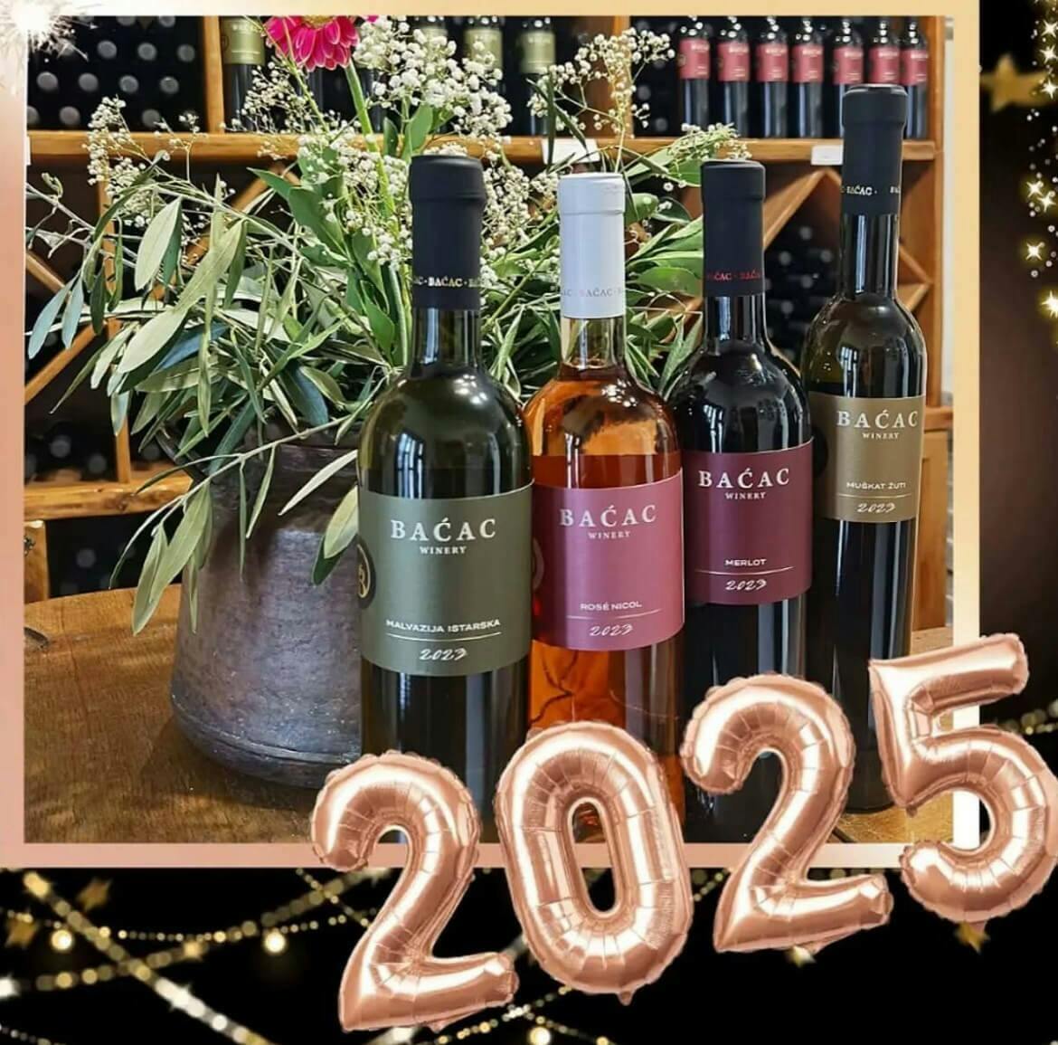 Wine party at Winery Baćac