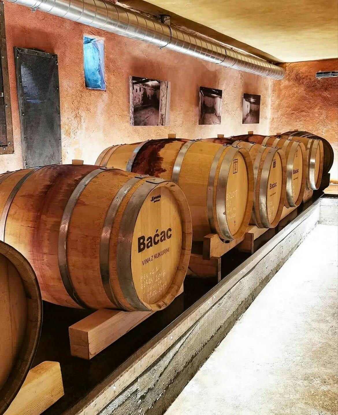 Wine party at Winery Baćac