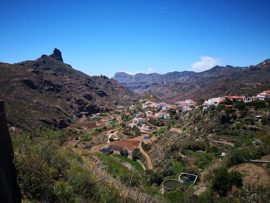 Passeio de dia inteiro às Montanhas Sagradas com os picos Tejeda e Artenara