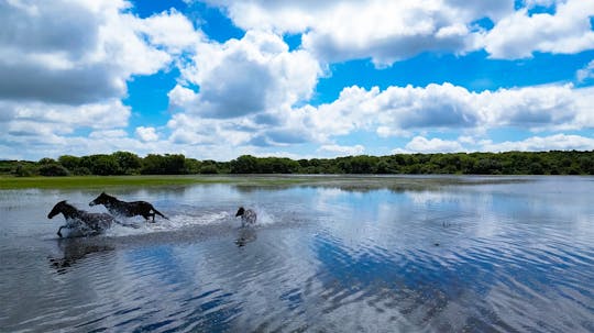 4-hour nature and wildlife guided tour in Sardinia