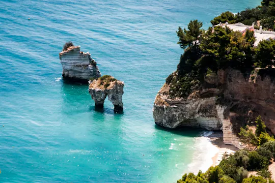 Passeio de barco guiado pela costa de Gargano com cavernas, baías e tradição