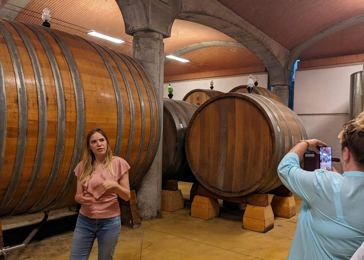 Valpolicella experience with wine and lunch from Lake Garda