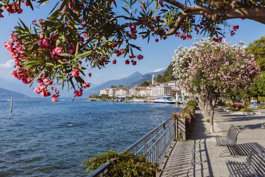Jednodniowa wycieczka do Como i Bellagio z Mediolanu z rejsem po malowniczym jeziorze