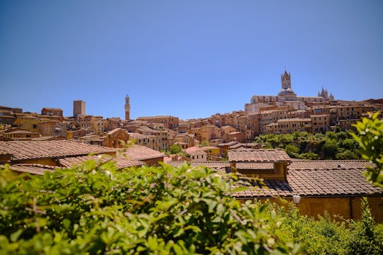 Tagesausflug nach Pisa, Siena und San Gimignano mit optionalem Mittagessen