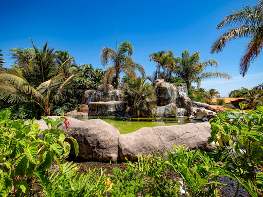 Oasis Wildlife Fuerteventura entrance tickets