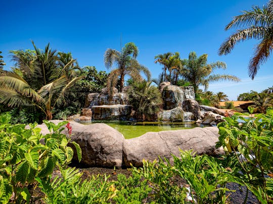 Oasis Park Fuerteventura entrance tickets