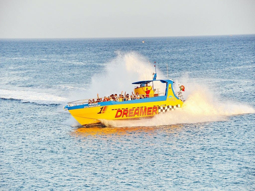 Dolphin-watching boat ride in Portugal with lunch